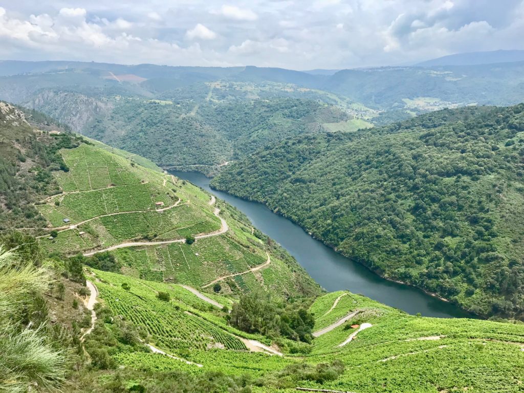 Ribeira Sacra natural wine blog