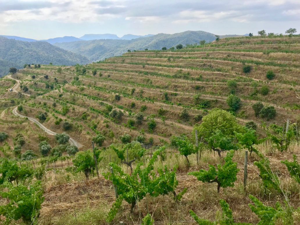 Gratallops, Spain